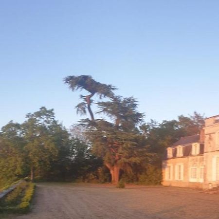 Bed and Breakfast Château de Colliers à Muides-sur-Loire Extérieur photo