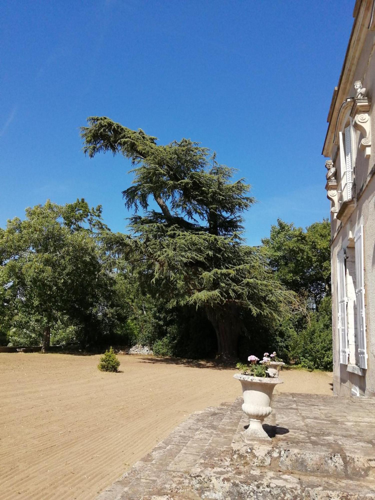 Bed and Breakfast Château de Colliers à Muides-sur-Loire Chambre photo