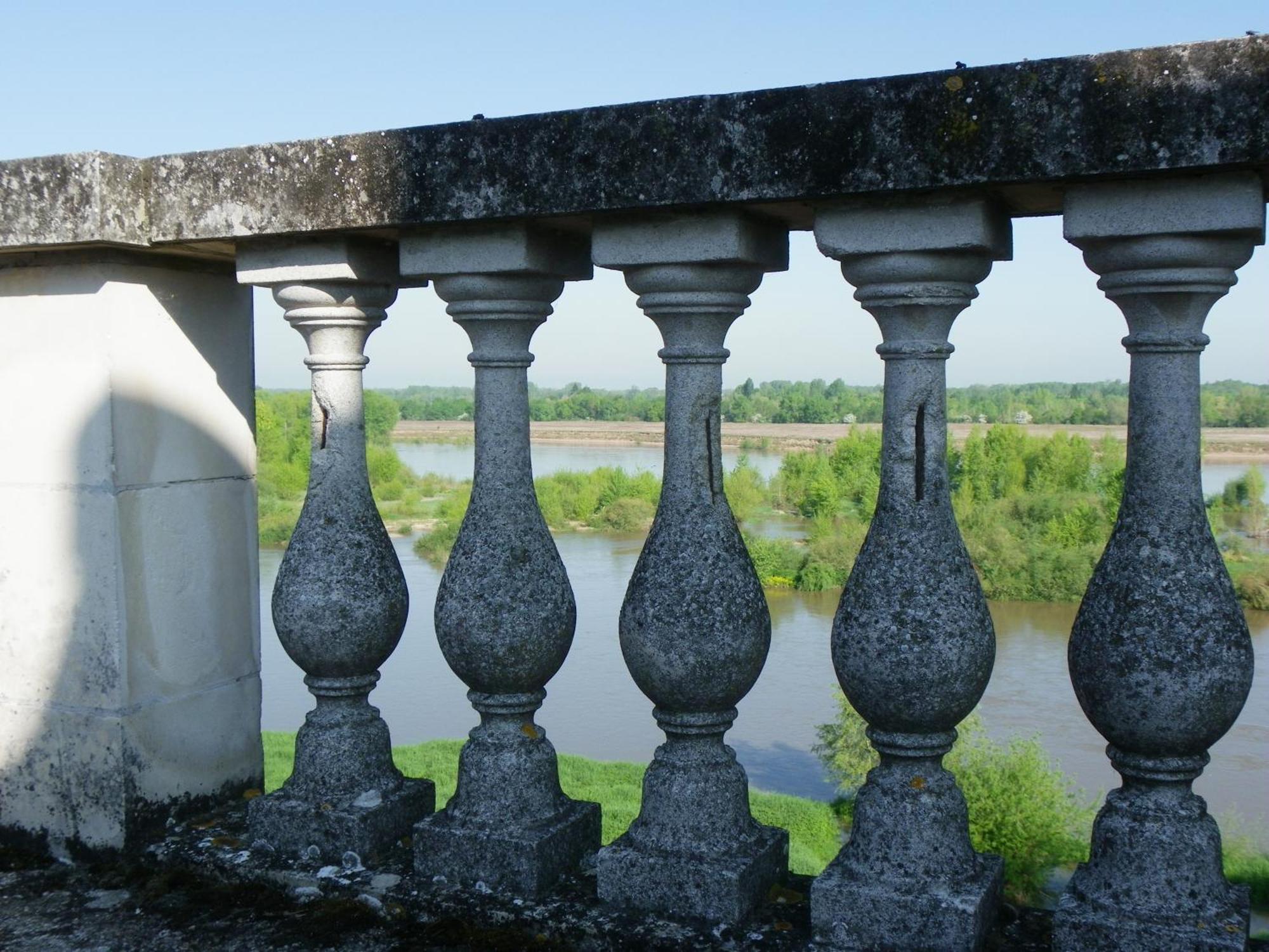 Bed and Breakfast Château de Colliers à Muides-sur-Loire Chambre photo